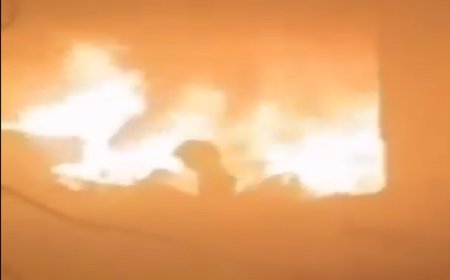 صارعت نيران إسرائيل وفقدت والدتها وأشقاءها... الطفلة "وردة" رمز جديد لمعاناة المدنيين تحت القصف