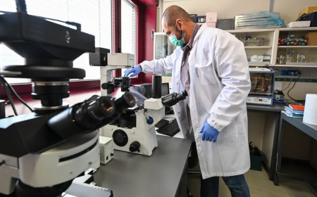 دراسة: الاحتباس الحراري قد يرفع معدلات الإصابة بالسرطان لدى النساء في الشرق الأوسط وشمال إفريقيا