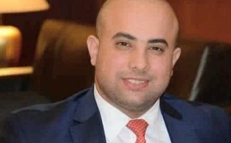 دور القضاء في حماية مشروع الدولة