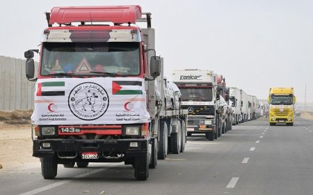 الجهود الدبلوماسية الإماراتية تثمر بإدخال أول شحنة مساعدات إنسانية إلى غزة بعد أكثر من 80 يوماً من الانقطاع