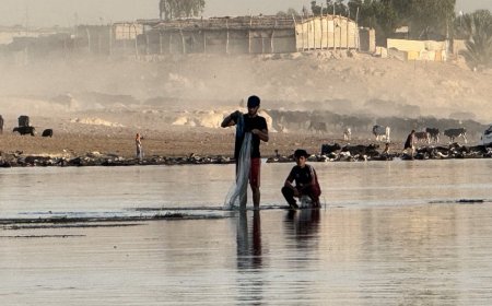 "الملوحة تقتل الأهوار".. نفوق جماعي وضربة بيئية جديدة في البصرة!