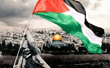 واشنطن ترفض خطة ماكرون للاعتراف بدولة فلسطين: "قرار متهور" يعوق السلام