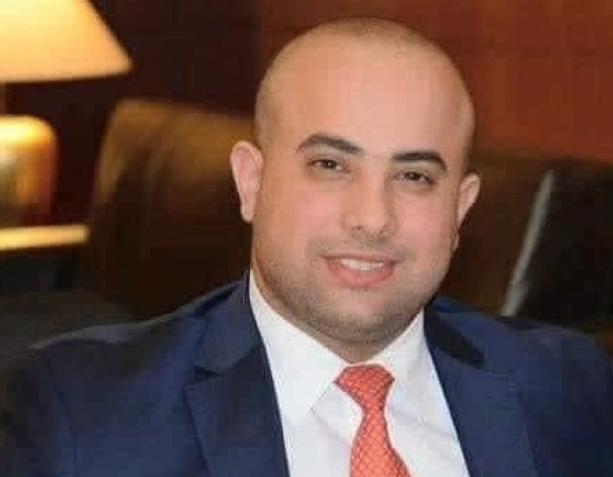 دور القضاء في حماية مشروع الدولة