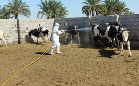 الحمى النزفية تضرب ذي قار مجددًا: 86 إصابة مؤكدة و6 وفيات منذ مطلع 2025