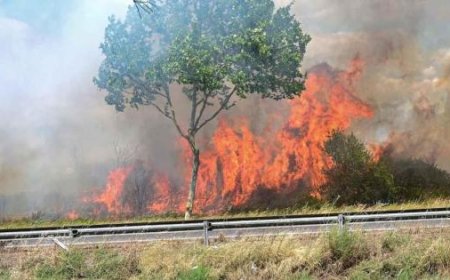 حريق ضخم يلتهم آلاف الهكتارات جنوبي فرنسا