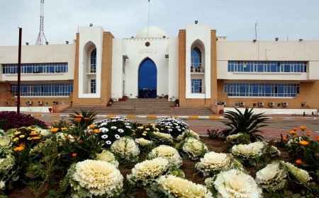 التعليم تطلق التقديم الإلكتروني على "كلية التميز في اللغة العربية" بجامعة الكوفة