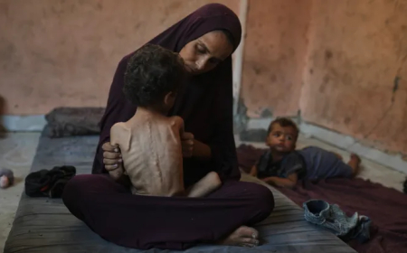 إعلان تاريخي خطير: الأمم المتحدة تعلن المجاعة رسميًا في غزة