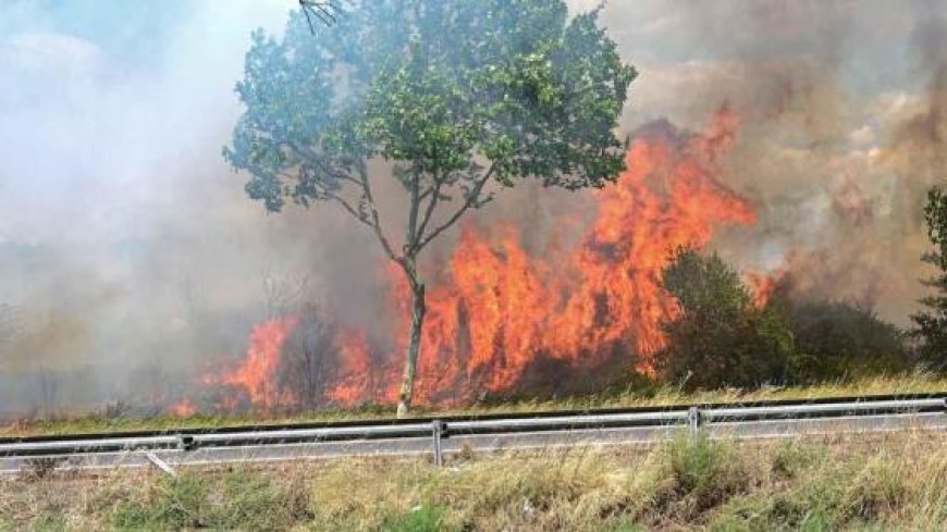 حريق ضخم يلتهم آلاف الهكتارات جنوبي فرنسا