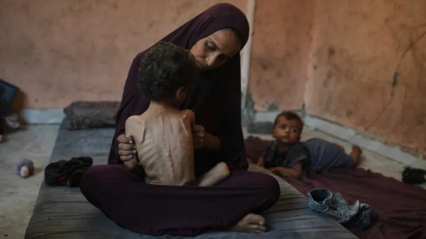 إعلان تاريخي خطير: الأمم المتحدة تعلن المجاعة رسميًا في غزة