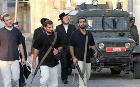 مستوطنين يقتحمون حديقة عامة في الجهة الجنوبية الشرقية في فلسطين ويطلقون النار تجاه المواطنين