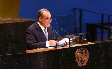 مصر: مايحصل في فلسطين جريمة تطهير عرقي ونرفض محاولات التهجير