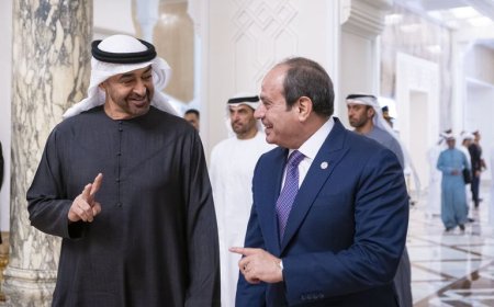 محمد بن زايد والسيسي يبحثان تعزيز التعاون ودعم حل الدولتين