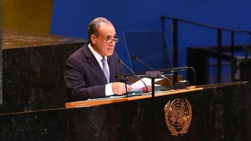 مصر: مايحصل في فلسطين جريمة تطهير عرقي ونرفض محاولات التهجير
