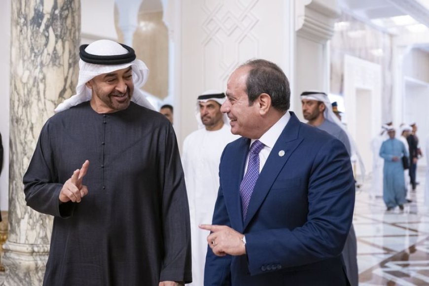 محمد بن زايد والسيسي يبحثان تعزيز التعاون ودعم حل الدولتين