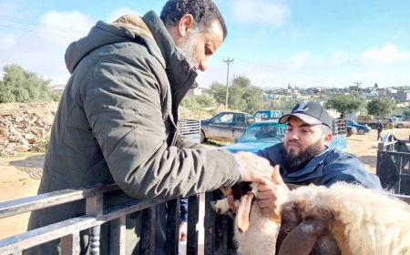 ليبيا تسجل أول إصابات بمرض "حمى كيو" وتحذر من انتقال العدوى للبشر