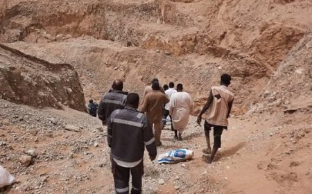 السودان: وفاة 23 وإصابة 145 في كارثة صحية بمنجم جنوب كردفان