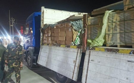 ضبط أكثر من 4 أطنان شحوم وطيور مخالفة في الشلامجة