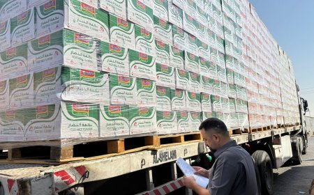 حملة رقابية مكثفة في المنافذ الحدودية لضمان جودة وسلامة المستوردات