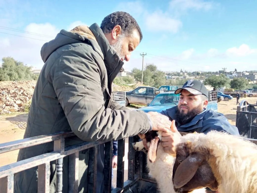 ليبيا تسجل أول إصابات بمرض "حمى كيو" وتحذر من انتقال العدوى للبشر