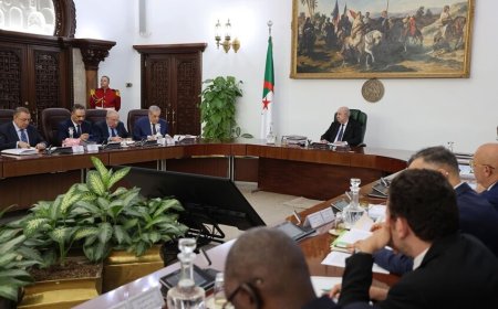 الجزائر تقر قانون مرور صارم لتعزيز السلامة المرورية