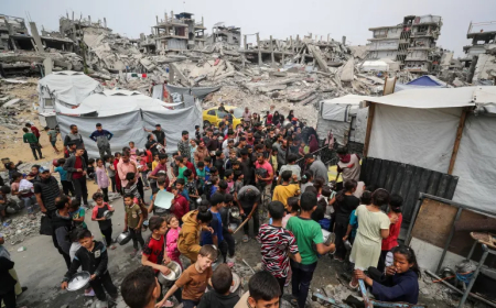 كارثة زراعية وإنسانية في غزة: "فاو" تحذر من مجاعة وشيكة وانهيار شامل للقطاع الزراعي