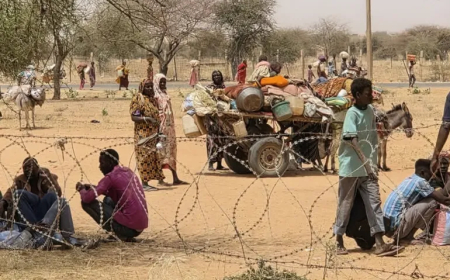 السودان..الفاشر  تصل مرحلة صعبة من المجاعة وسط تصاعد النزاع المسلح