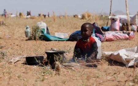 احتجاج على قرار أممي… جدل حول تحقيق الفاشر