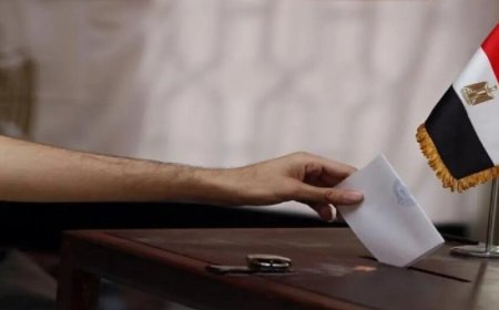 مصر تُبطل انتخابات 19 دائرة نيابية وسط اتهامات واسعة بالتزوير