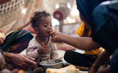 اليمن على حافة المجاعة… تحذيرات دولية من أخطر أزمة غذائية منذ اندلاع الحرب