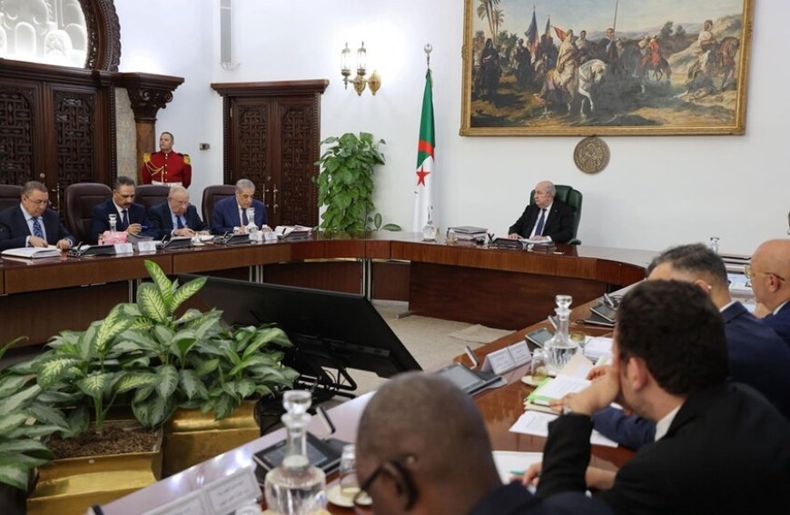 الجزائر تقر قانون مرور صارم لتعزيز السلامة المرورية