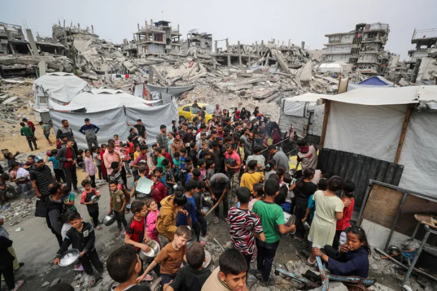 كارثة زراعية وإنسانية في غزة: "فاو" تحذر من مجاعة وشيكة وانهيار شامل للقطاع الزراعي