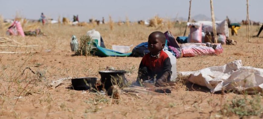 احتجاج على قرار أممي… جدل حول تحقيق الفاشر