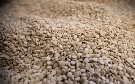 الرياض تسجل 961 ضبطاً جمركياً للممنوعات أسبوعياً.. وتعزز حماية المجتمع