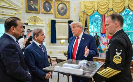 شراكة المعادن بين واشنطن وإسلام آباد..إعادة رسم خرائط النفوذ في مواجهة بكين