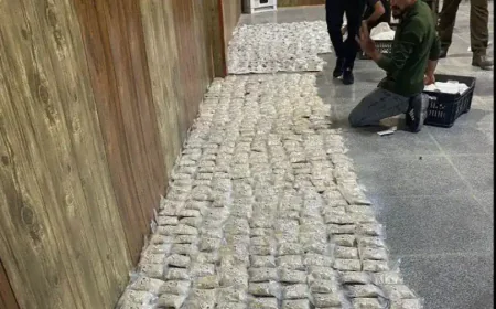 ضربة نوعية في ديالى.. ضبط 85 كغم من الكبتاجون
